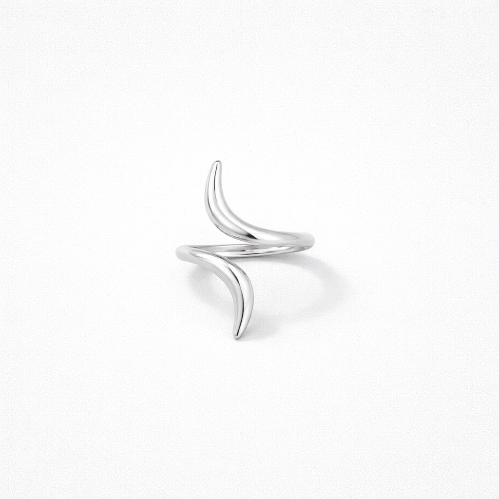 Anillo Plateado
